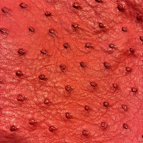 Red Ostrich Leather Handbag – Made in South Africa – Elegant Top-Handle Shoulder - Picture 2 of 11